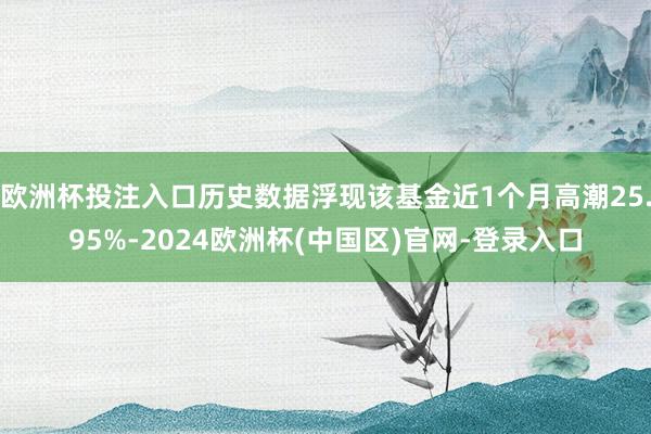 欧洲杯投注入口历史数据浮现该基金近1个月高潮25.95%-2024欧洲杯(中国区)官网-登录入口