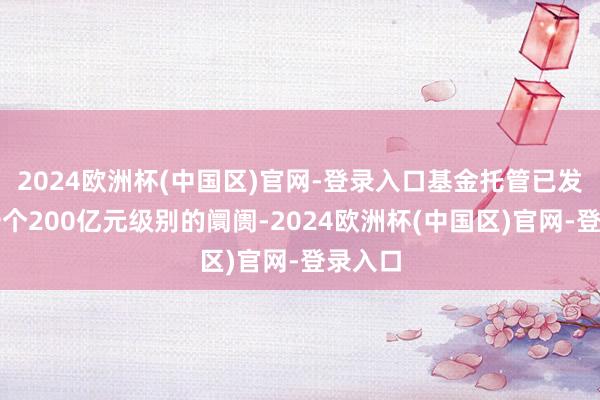 2024欧洲杯(中国区)官网-登录入口基金托管已发展为一个200亿元级别的阛阓-2024欧洲杯(中国区)官网-登录入口