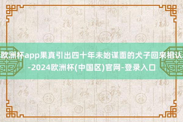 欧洲杯app果真引出四十年未始谋面的犬子回来相认-2024欧洲杯(中国区)官网-登录入口