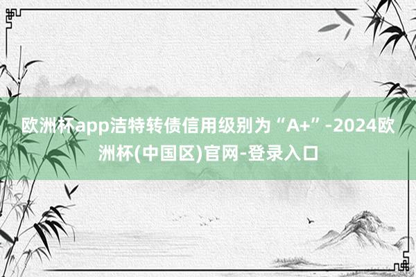 欧洲杯app洁特转债信用级别为“A+”-2024欧洲杯(中国区)官网-登录入口