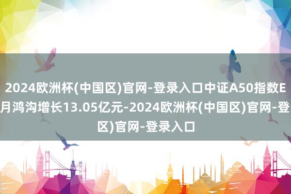 2024欧洲杯(中国区)官网-登录入口中证A50指数ETF近1月鸿沟增长13.05亿元-2024欧洲杯(中国区)官网-登录入口