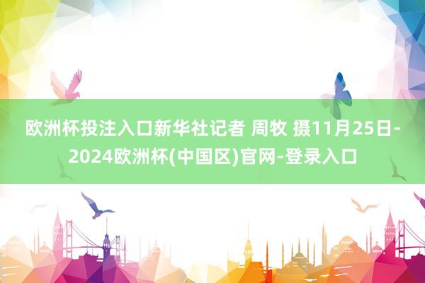 欧洲杯投注入口　　新华社记者 周牧 摄　　11月25日-2024欧洲杯(中国区)官网-登录入口