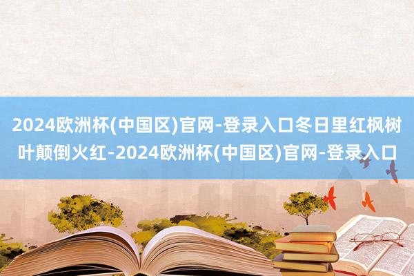 2024欧洲杯(中国区)官网-登录入口冬日里红枫树叶颠倒火红-2024欧洲杯(中国区)官网-登录入口