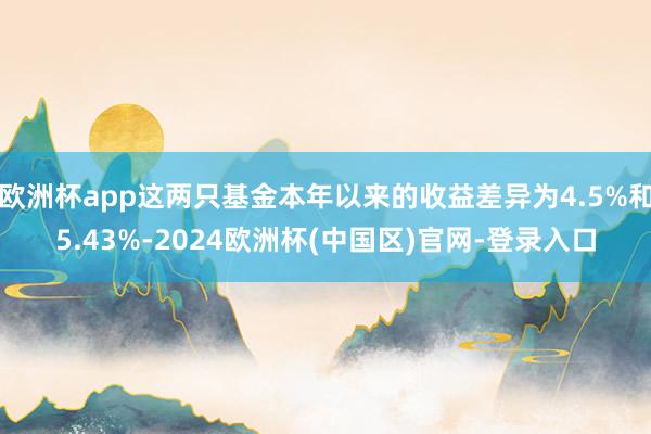 欧洲杯app这两只基金本年以来的收益差异为4.5%和5.43%-2024欧洲杯(中国区)官网-登录入口