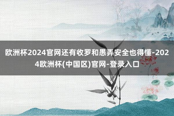 欧洲杯2024官网还有收罗和愚弄安全也得懂-2024欧洲杯(中国区)官网-登录入口