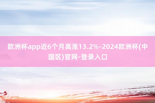 欧洲杯app近6个月高涨13.2%-2024欧洲杯(中国区)官网-登录入口