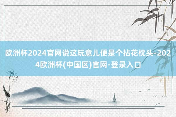 欧洲杯2024官网说这玩意儿便是个拈花枕头-2024欧洲杯(中国区)官网-登录入口