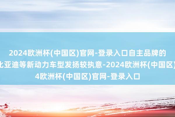 2024欧洲杯(中国区)官网-登录入口自主品牌的上汽乘用车、比亚迪等新动力车型发扬较执意-2024欧洲杯(中国区)官网-登录入口