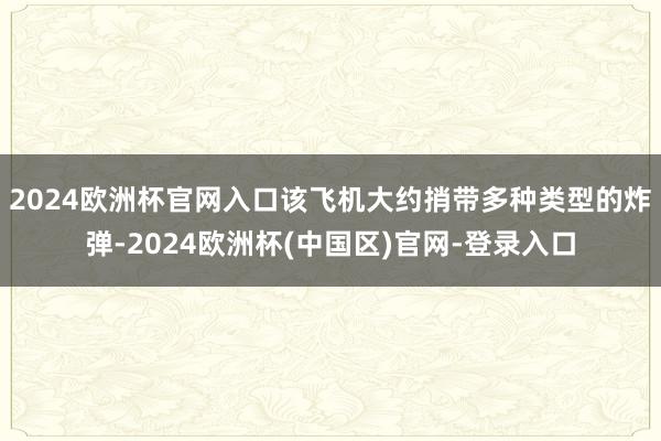 2024欧洲杯官网入口该飞机大约捎带多种类型的炸弹-2024欧洲杯(中国区)官网-登录入口