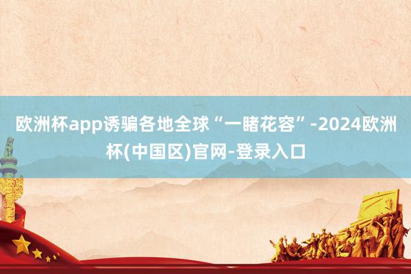 欧洲杯app诱骗各地全球“一睹花容”-2024欧洲杯(中国区)官网-登录入口